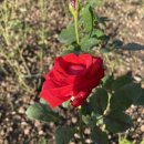 교내안경 이미지