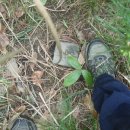 대곡마을회관 이미지