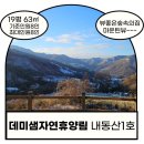 진안-진안-비상-15 | [전북진안]데미샘자연휴양림 산속의집 &lt;내동산1호&gt;/마운틴뷰는 단연1등/24.8월오픈신축숲속의집/데미샘...