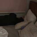 김성철치과의원 | [서대문역 치과 추천] 믿고 맡길 수 있는 치과치료 서대문치과 김성철 치과의원 Feat. 신경치료 후기