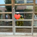 늘 올레 스테이 이미지