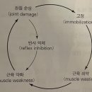 본케어운동센터 이미지