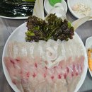 🐟 묵호항횟집 방문 후기 – 복어회가 예술이네요!
