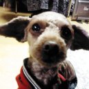 만남의 광장휴게소 이미지