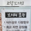 고향보리밥집 앞 이미지