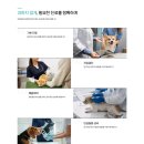 자산에이젼시 | [병원홈페이지 추천] 환자의 마음을 움직이는 메디컬 브랜드 에이전시 ‘차원’ 솔직 담백한 제작 후기