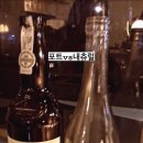 두잉스투핏띵스클럽