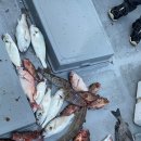 봉래보건지소 이미지