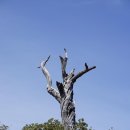 힐 스프링 이미지