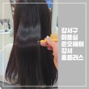 커트 펌 잘하는 강서구 미용실 준오헤어 강서홈플러스점 카필루스 클리닉 솔직후기