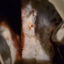 이마트24 송도대장점 이미지