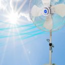 동우열전 이미지