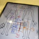 (주)공간에너지 | 청담 피부과 바디티타늄 팔뚝 지분주 후기. 신부관리로 추천