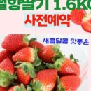 설향기념품
