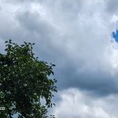 한낮의 꿈 이미지