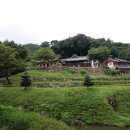 대덕건기 네이버블로그