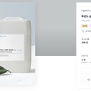 뿌리디자인