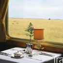 블루아프리카 이미지