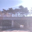 우남  인쇄 이미지