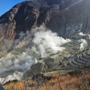 야마 | 하코네 당일치기 투어 오와쿠다니 야마나카코 후기