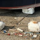 궁평항 어항구역 내 주차장 일부 이미지