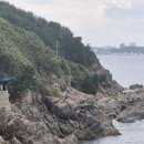 행정사 다인 이미지