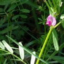 성호초등학교 이미지