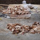 유심농장 이미지