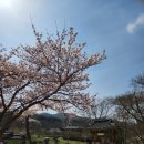 건봉사가는길 | 속초 고성 가볼만한곳 여행 건봉사 사찰 추천 후기