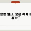 모종동