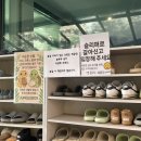 신비로커피박스 | 순천 아이와 함께 가볼만한 거북이먹이주기 실내체험 파충류카페 ‘정글박스’