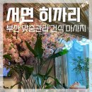 서면마사지 히까리에서 승모근 피로 풀고온 후기!