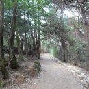 의상봉 둘레길 이미지