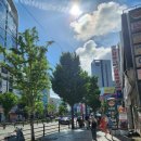 투썸 - 동대문구 무학로16길 51 | 남포동 카공하기좋은 카페 투썸 우베 치즈케이크 후기