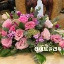 썬플라워 이미지