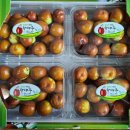 대추머리목장 이미지