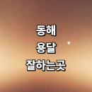 동해시-28 | 동해시 근처 화물용달 잘하는곳 추천 전문업체 용달이사 소형 퀵서비스 라보용달 침대 렌트 견적 후기 가격