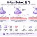코스모의원 | [광명이마보톡스] 자연스러운 주름 개선을 위한 관리