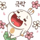 명돌캠프 이미지