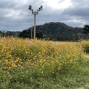 마산리고분군 | 애견동반) 창녕 남지체육공원/남마뮤지엄/창녕 교동 고분군