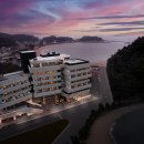 브리드 바이 마티에 이미지