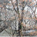 천축사 마애사리탑 이미지