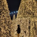 오동동177 이미지