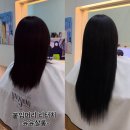 윤윤살롱