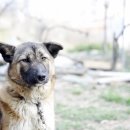 검산농장 이미지