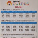 살롱드 아웃독 이미지