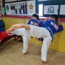 동아대MBA태권도 이미지