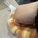 365스마일한의원 | 내일 아침 하얀 눈이 쌓여 있었으면 해요