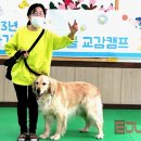 왕지초등학교 병설유치원 이미지