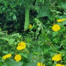 썬밸리리조트 고흥지점 이미지